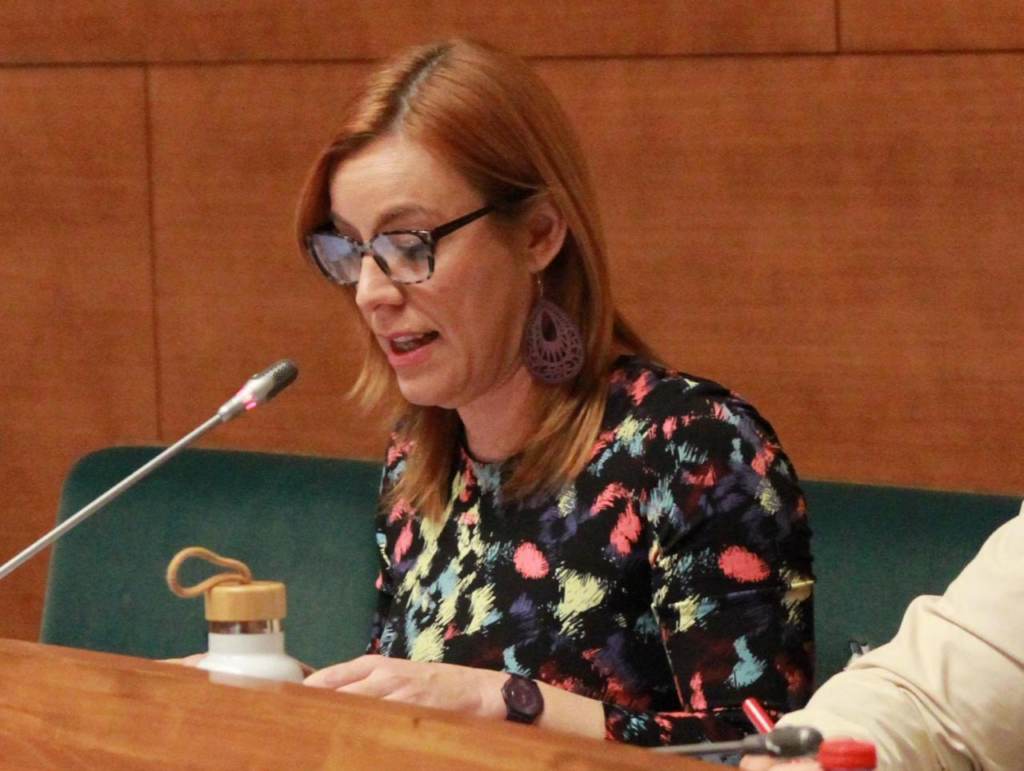 Dolors Gimeno, diputada de Comprom&iacute;s a la Diputaci&oacute; de Val&egrave;ncia. Comprom&iacute;s.