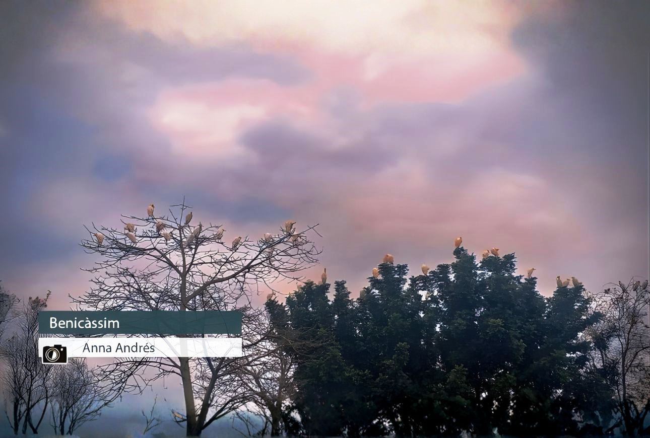 Benicàssim - Anna Andrés