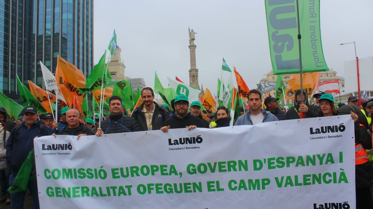 Representants de la Unió Llauradora i Ramadera a Madrid en protesta per les polítiques agràries europees. La Unió.