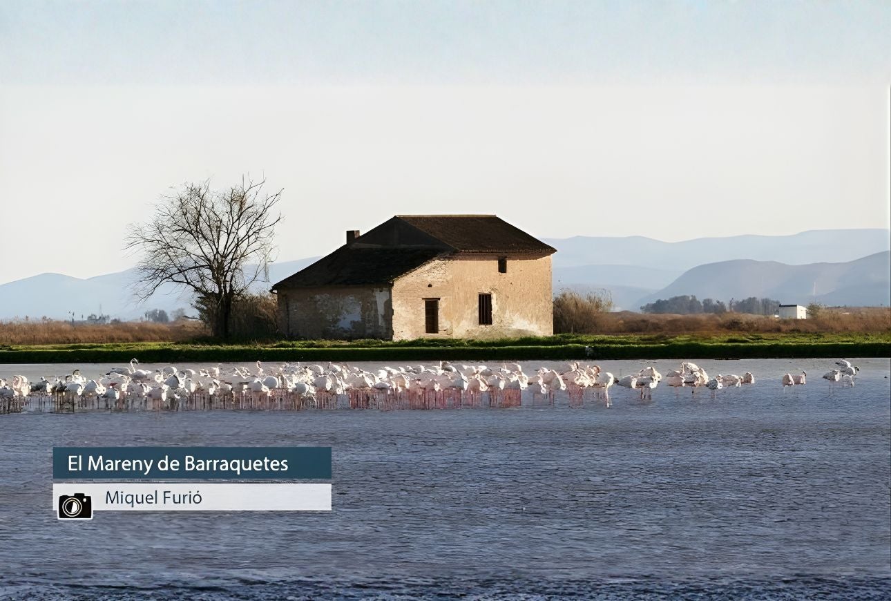 El Mareny de Barraquetes - Miquel Furió