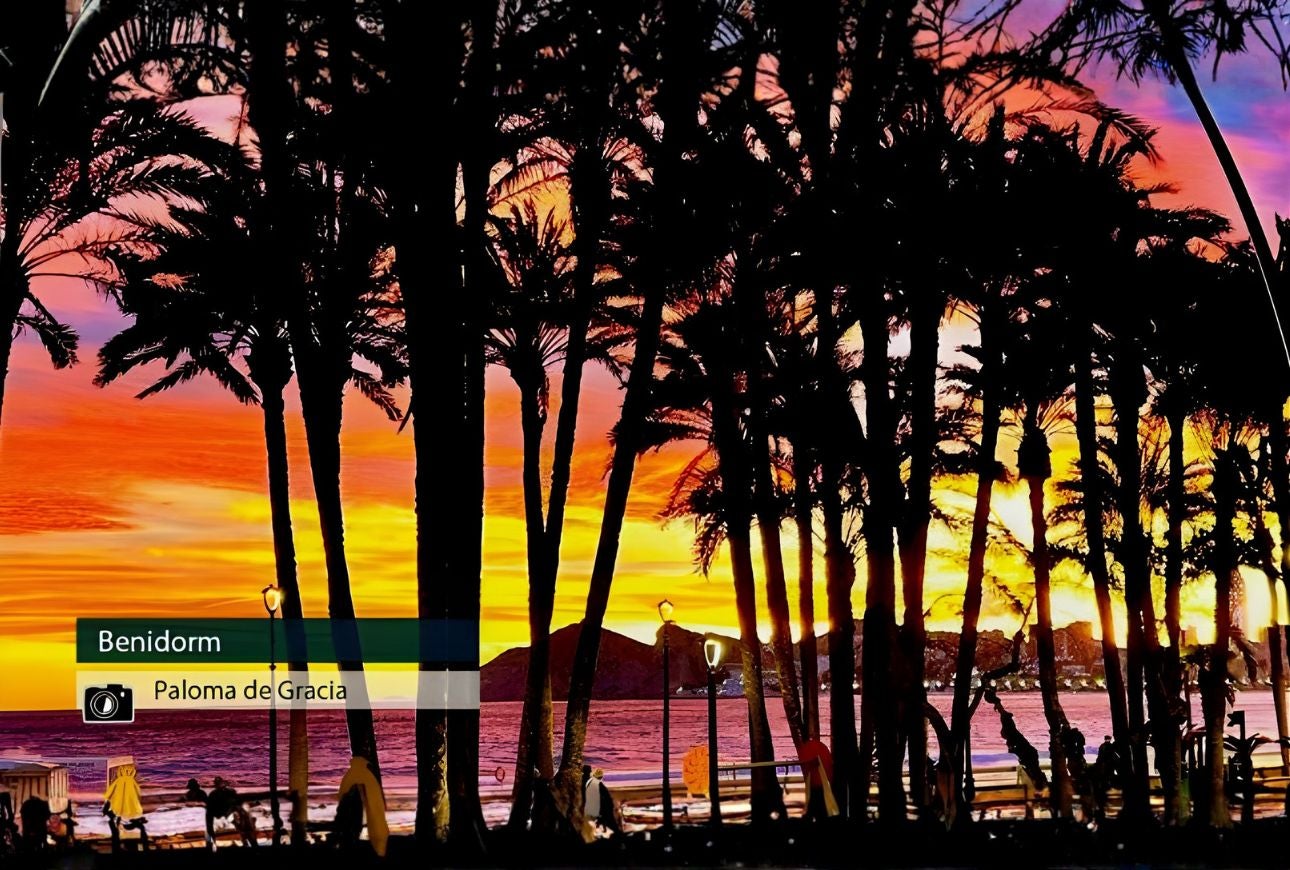 Benidorm - Paloma de Gracia