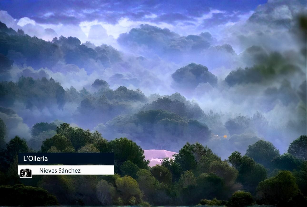 L'Olleria - Nieves Sánchez