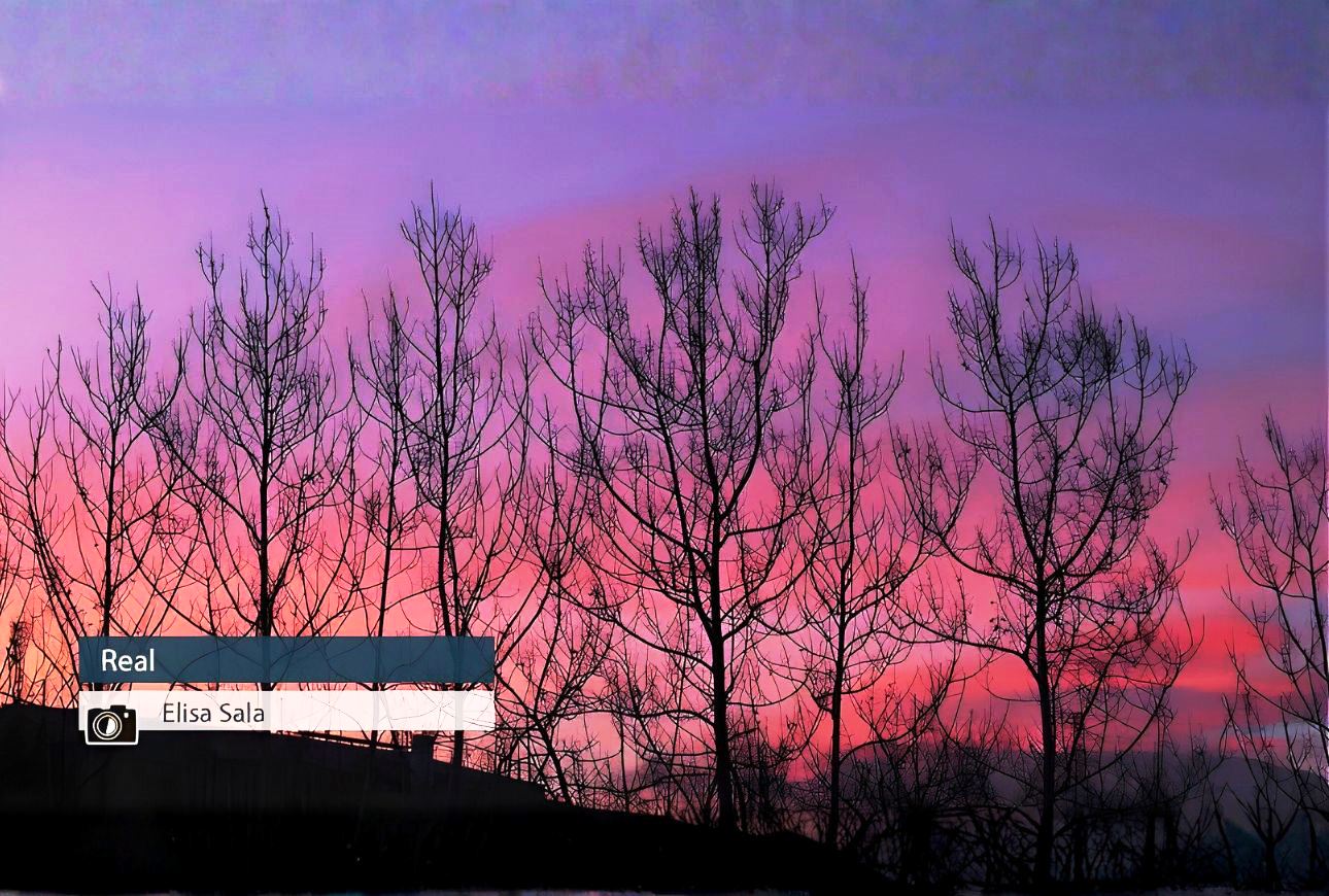 Real - Elisa Sala