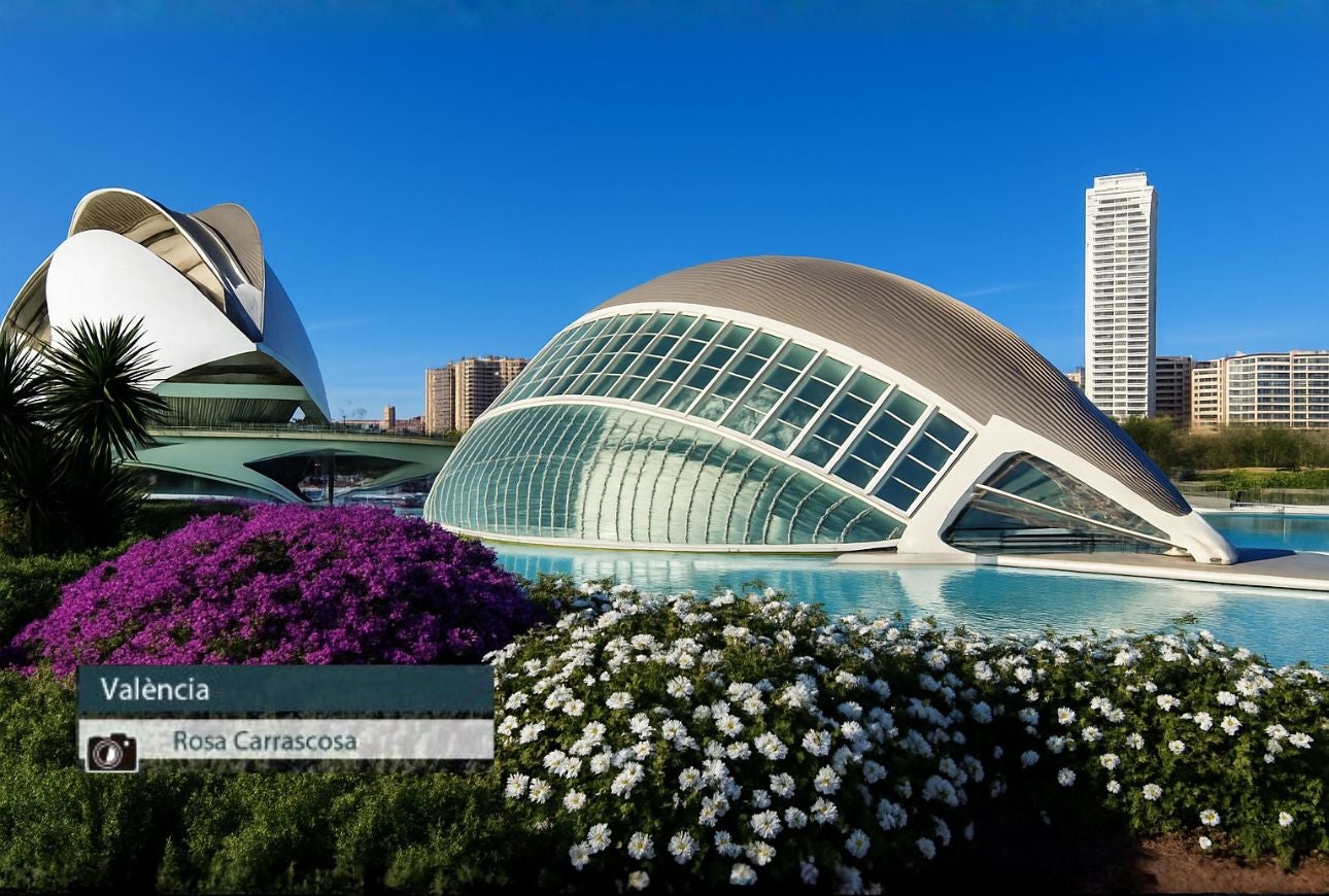 València - Rosa Carrascosa