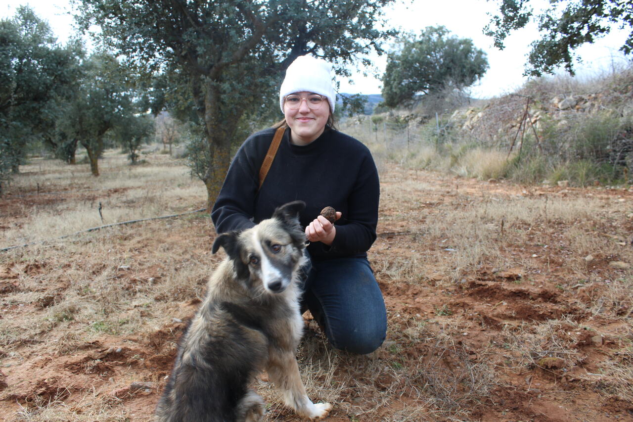 Teresa Sebastià en una explotació de tòfones al Toro (l'Alt Palància) | La Unió Llauradora