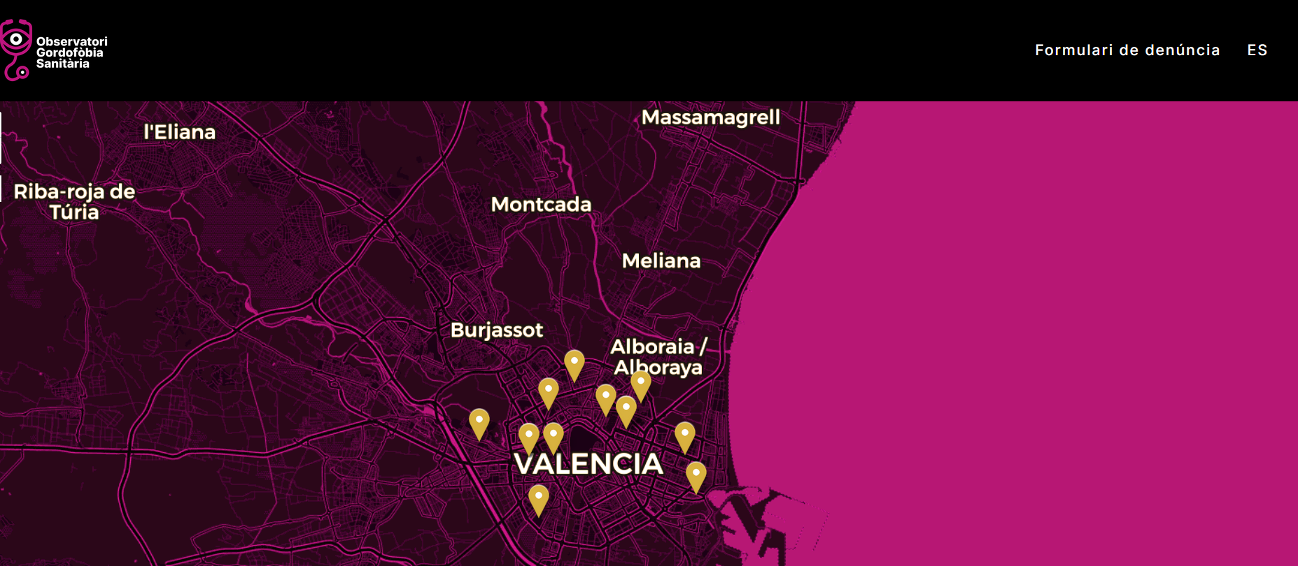 El Front Antigordofòbia de València llança un Observatori de la Grassofòbia Sanitària