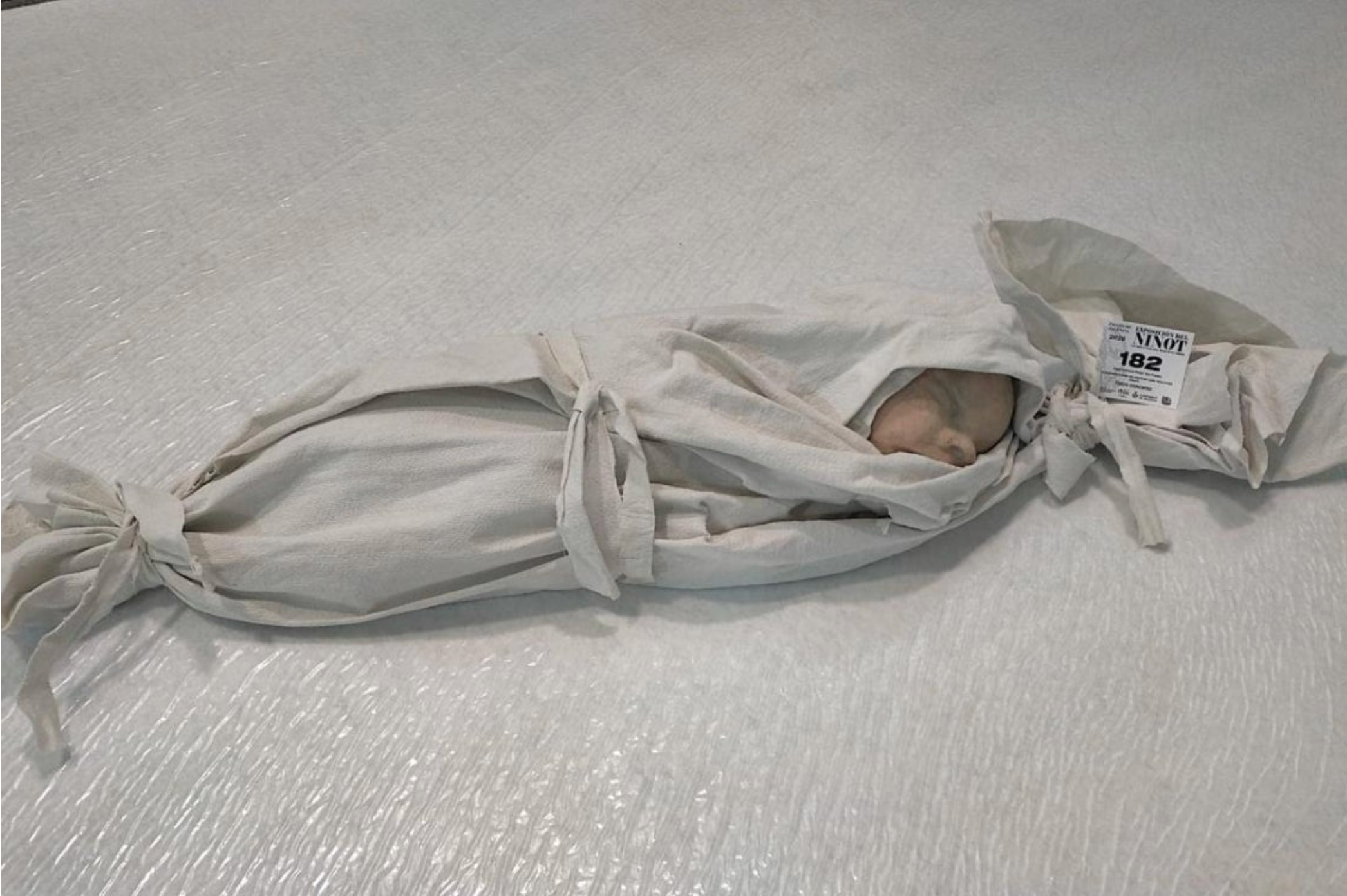 'Memòria incòmoda', peça de la Falla Arrancapins per a l'Exposició del Ninot 2026