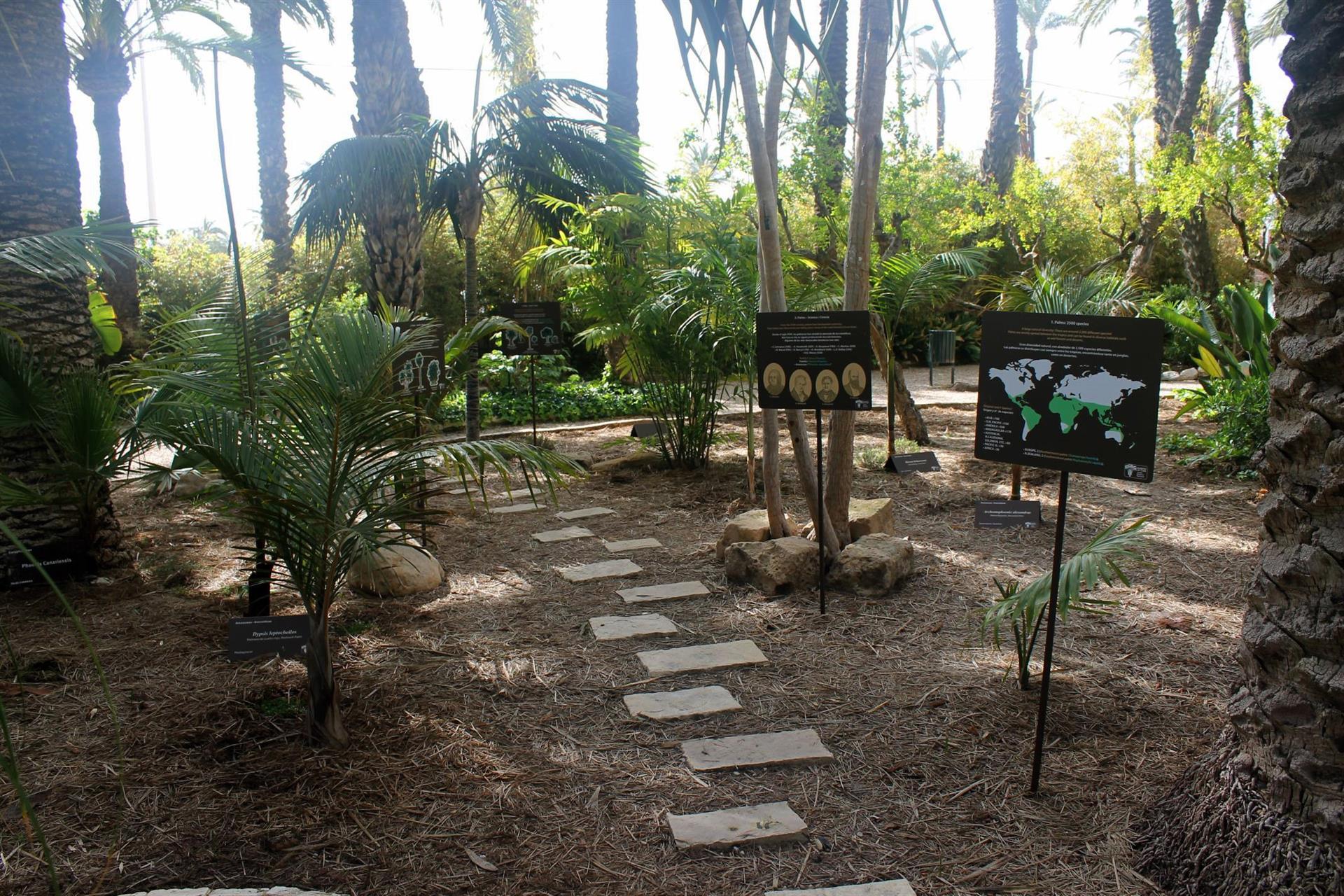 L'Hort del Cura d'Elx rep un premi europeu per l'Acadèmia de palmeres' 