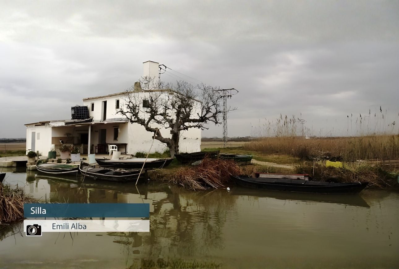 Silla - Emili Alba