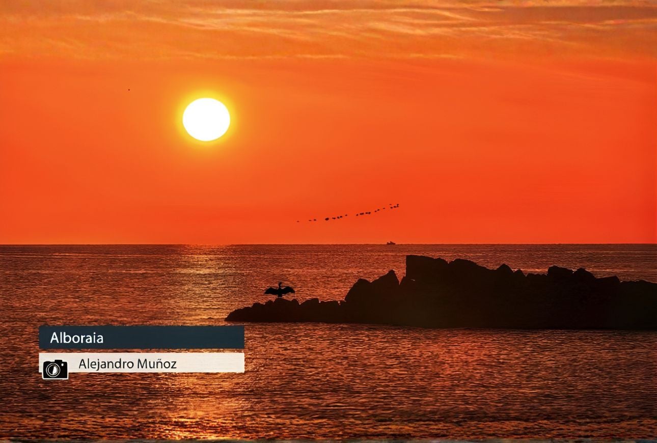 Alboraia - Alejandro Muñoz