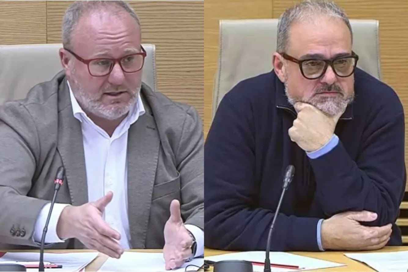 El diputat de bombers de la Diputació de València, Avelino Mascarell, i L'assessor extern del PP valencià Josep Lanuza Navarro, en la comissió d'investigació de la dana del Congrés