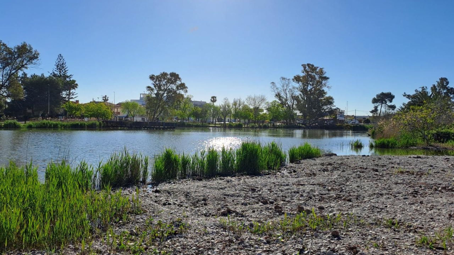 La llacuna de Nules. Ajuntament de Nules.