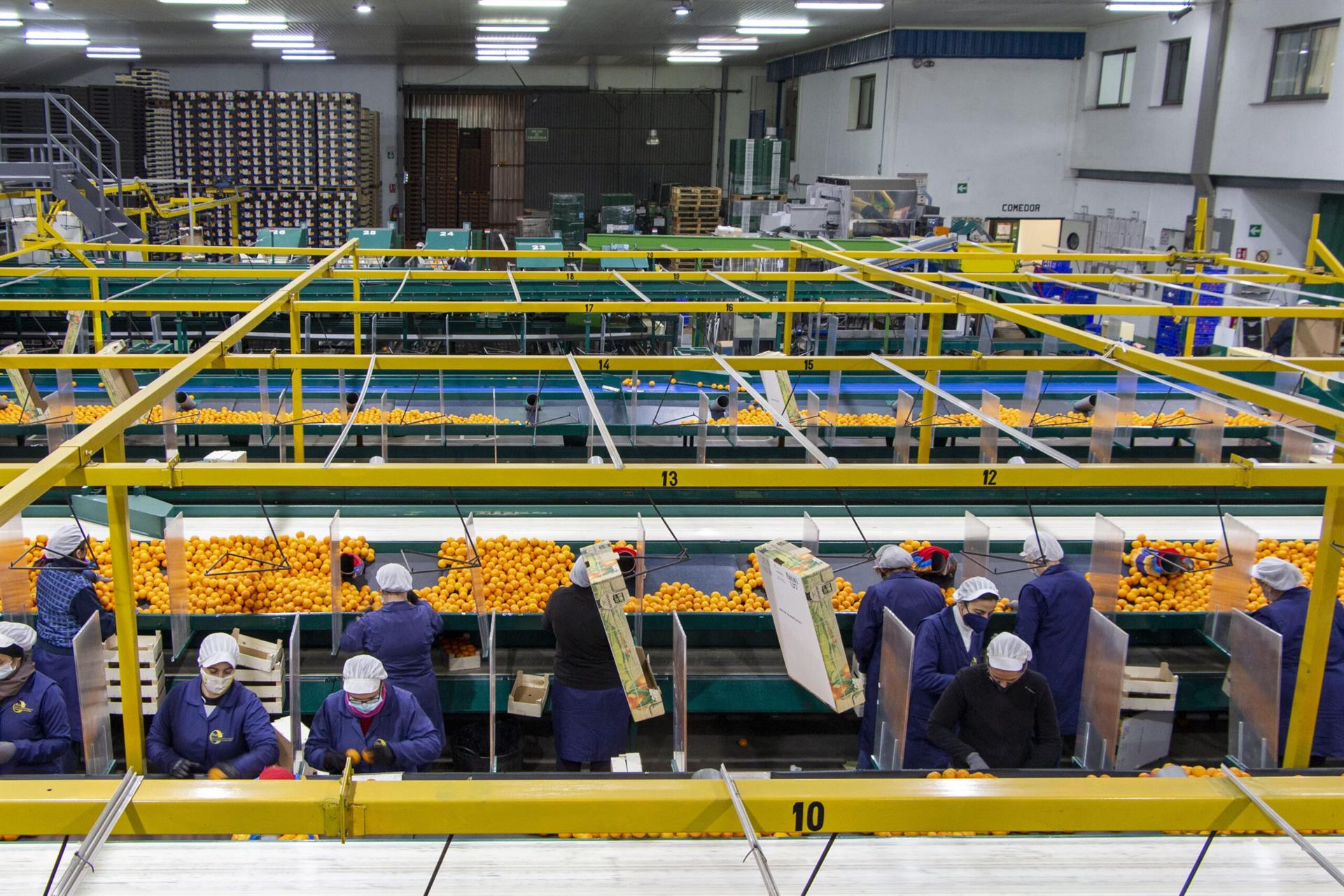 Imatge d'una cooperativa | Concoval | EP