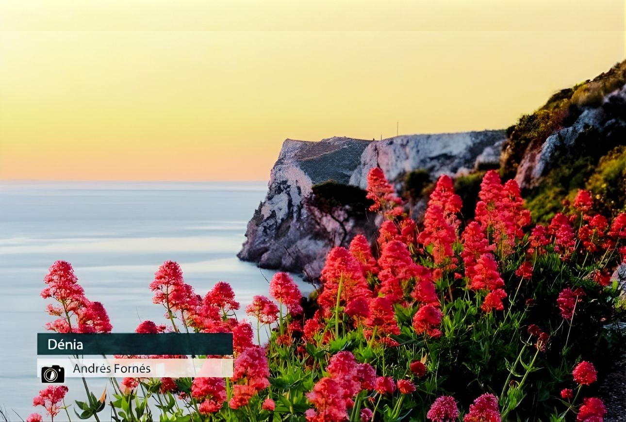 Dénia - Andrés Fornés
