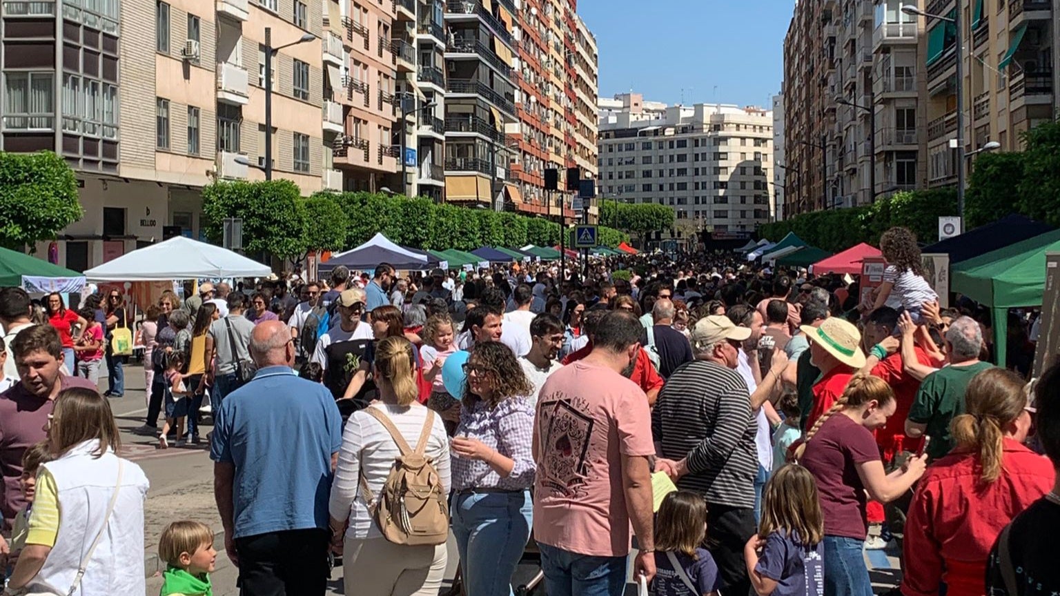 La jornada ha arrancat a les 10.00 h amb una multitudinària cercavila cívica