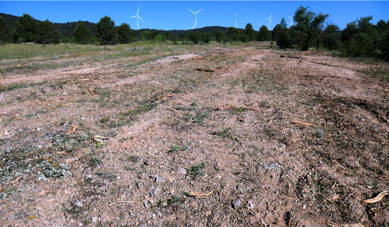 La Vall d'Aiora cumula 2.000 hectàrees agrícoles i forestals amb panells solars i 215 aerogeneradors