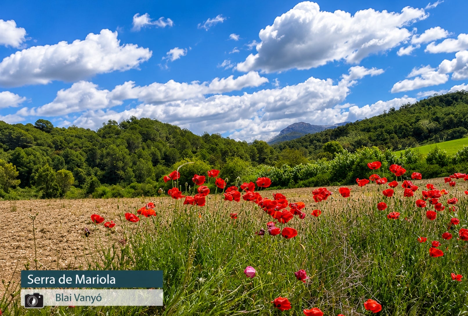 Serra de Mariola - Blai Vanyó