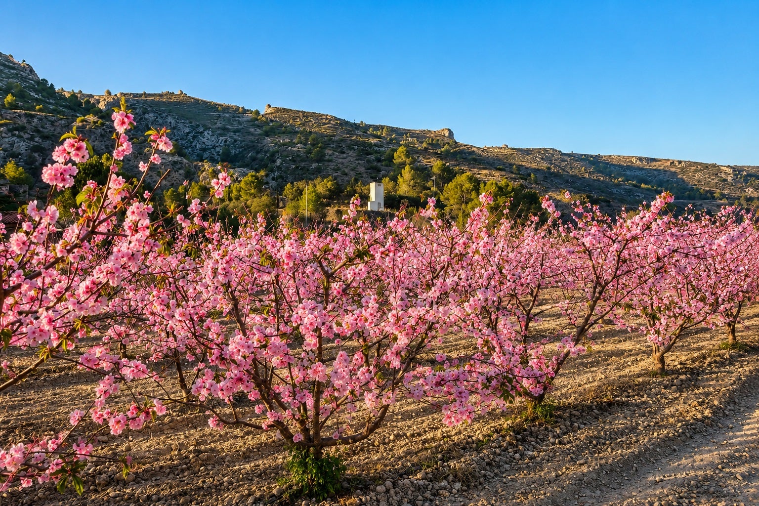 La Vall de Gallinera (la Marina Alta) - MVG