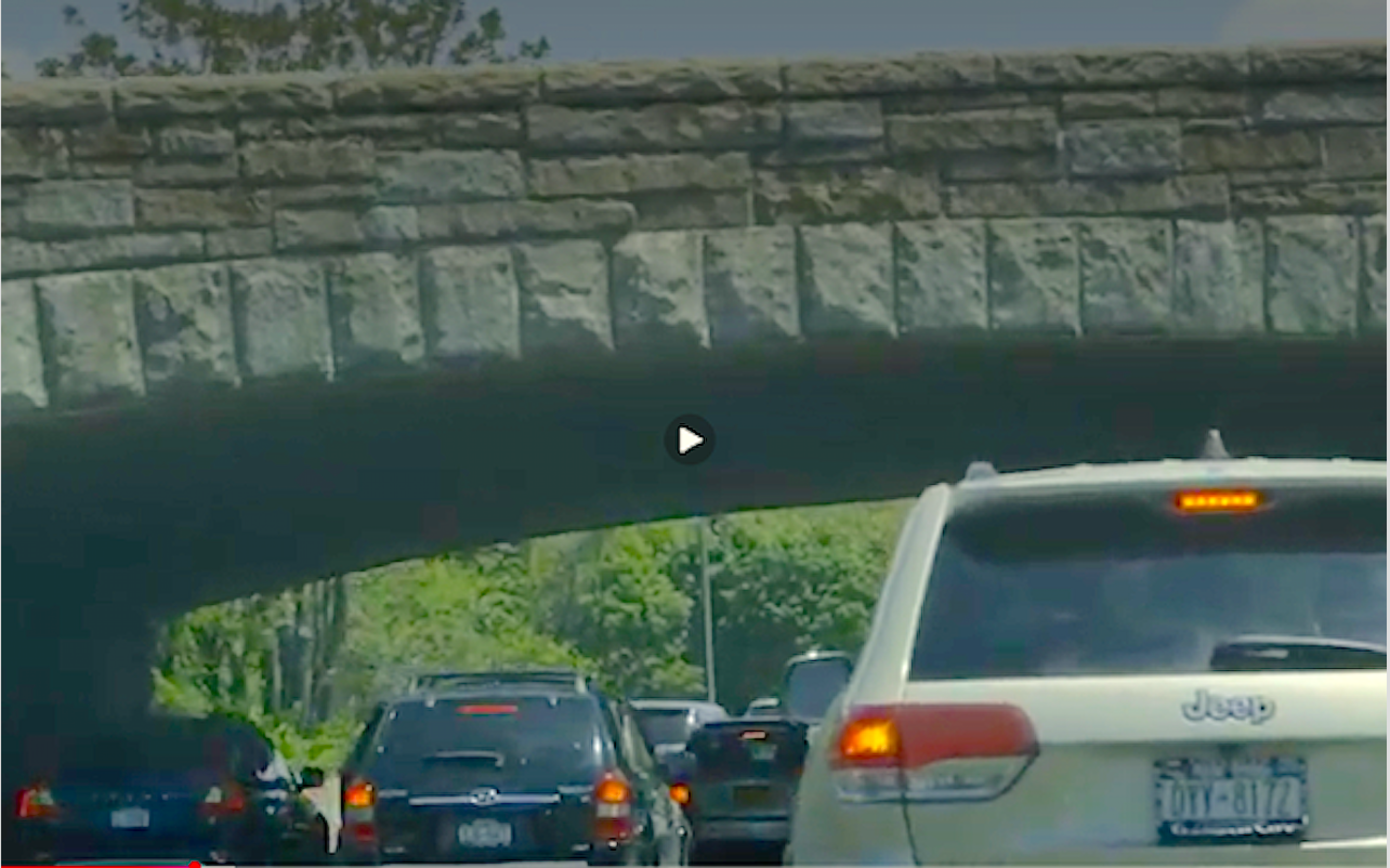 Pas elevat sobre l'autovia que du a Jones Beach, a Long Island (Nova York). Fotograma del documental 'Innocència enganyosa (examinant el que pot fer un pont)'