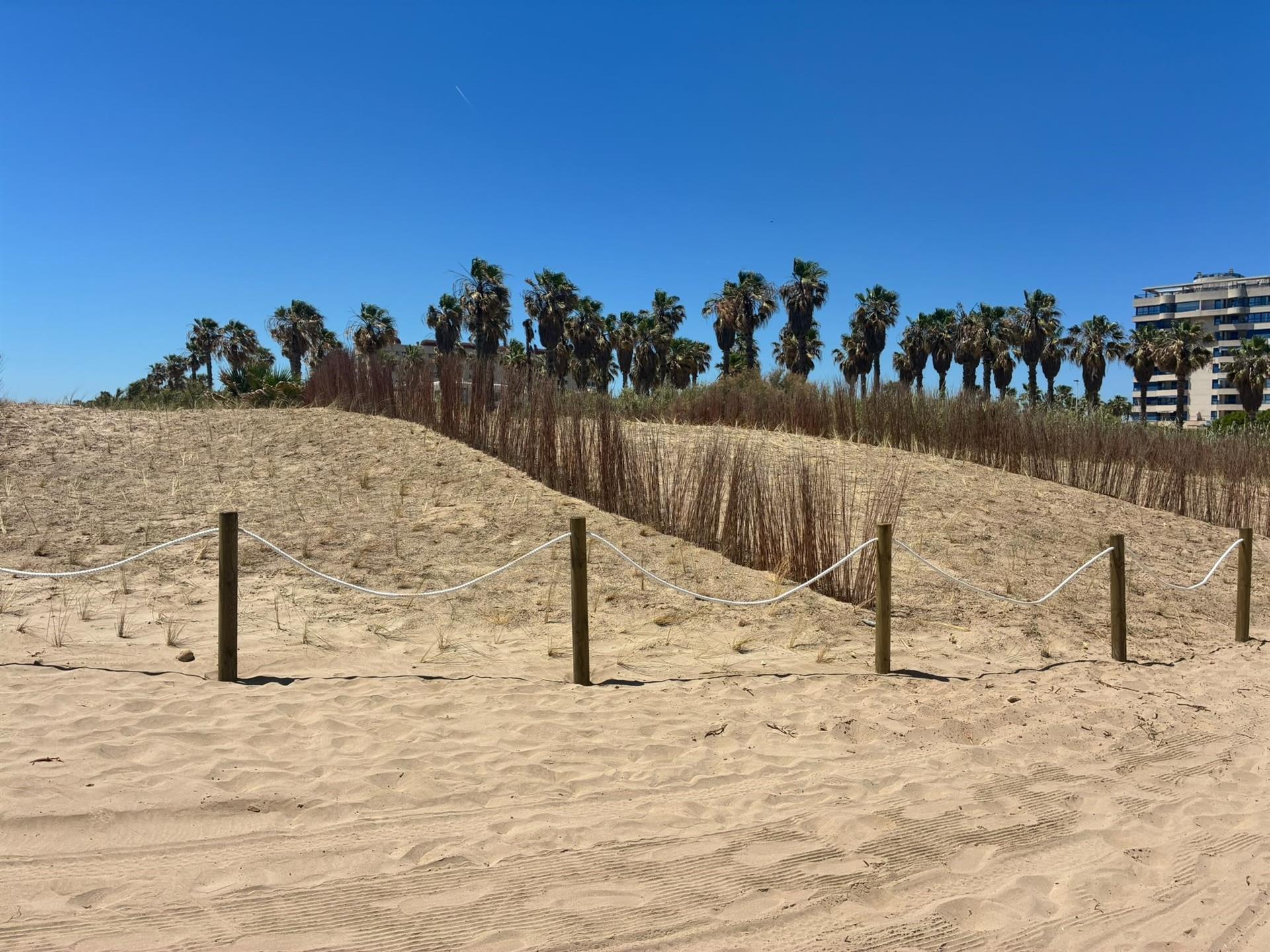 Platja dels Peixets, amb les dunes recuperades. Juny de 2026.
