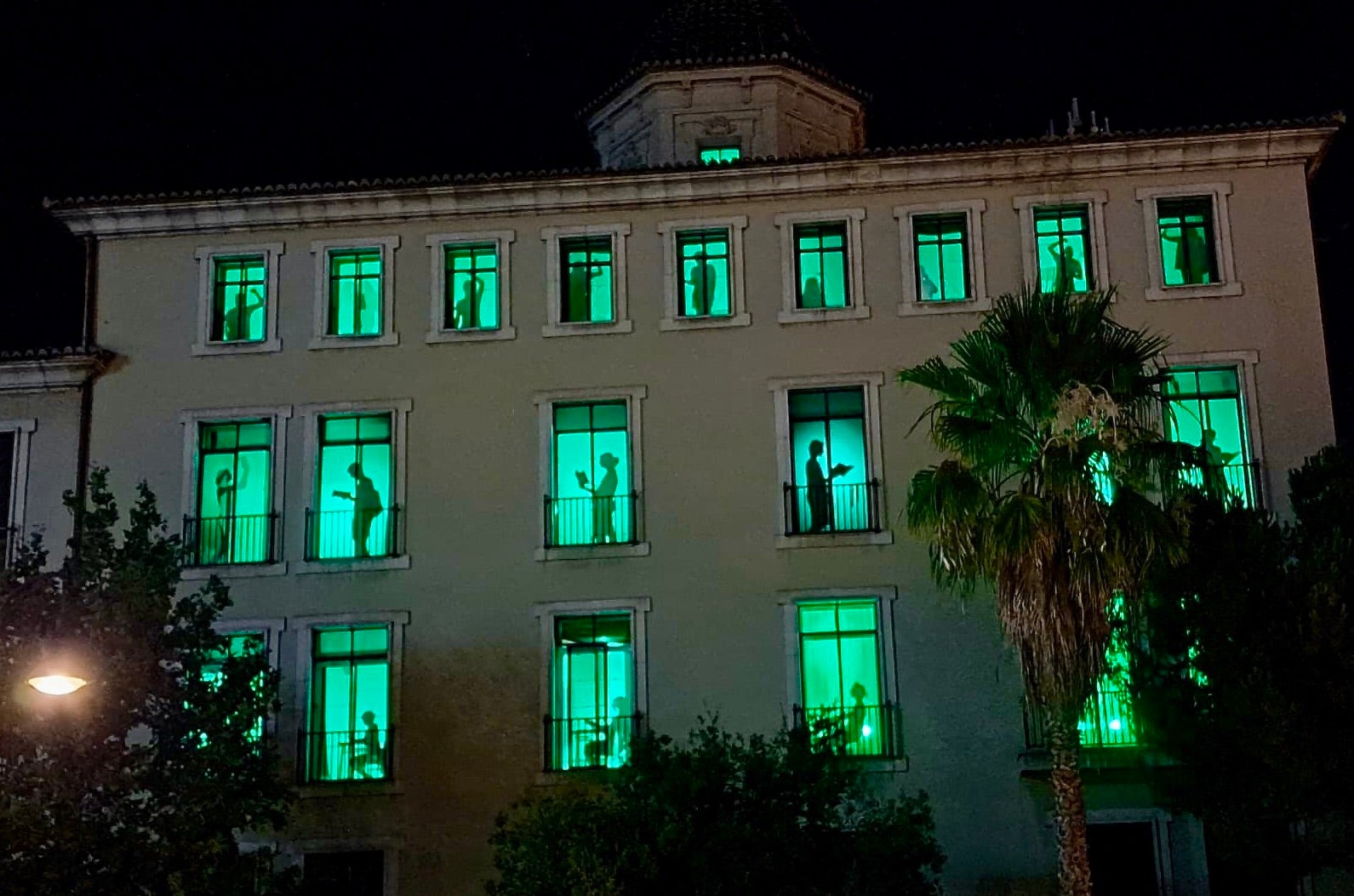 El Lluís Vives de València s'il·lumina de verd en defensa de l'educació pública
