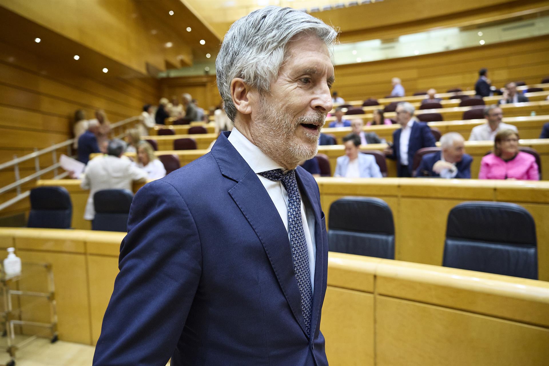 Fernando Grande-Marlaska, Ministre espanyol de l'Interior, durant la sessió de control al Govern, al Senat | EP