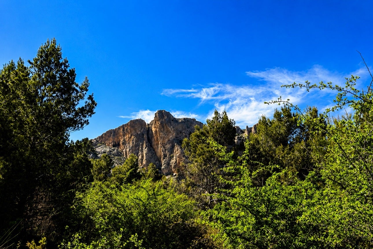 Paisatge des de la Vall de Guadalest (la Marina Alta) - MVG