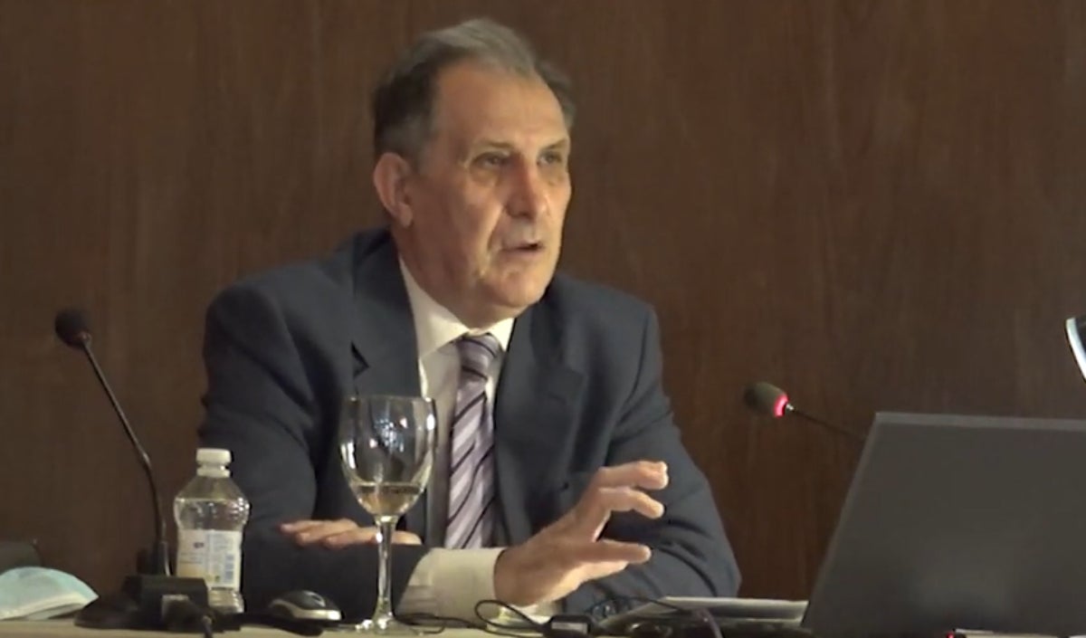 Federico Martínez Roda durant una conferència en una imatge d'arxiu