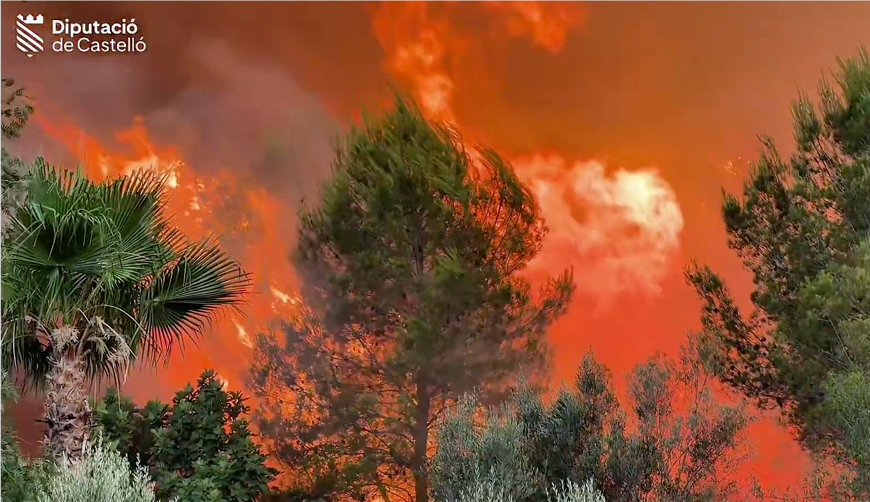 Incendi forestal a Soneixa (l'Alt Palància) | Diputació de Castelló
