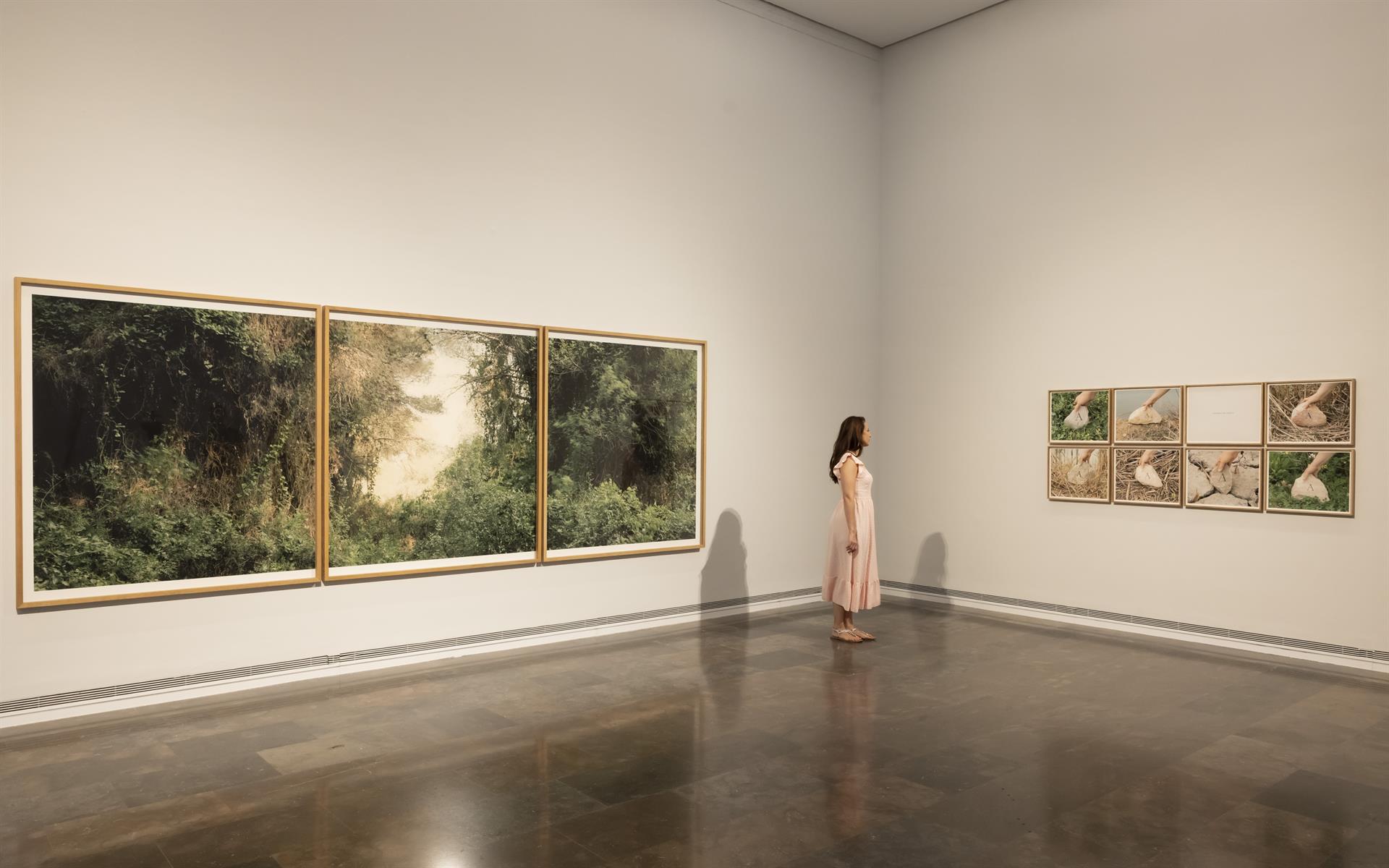 L'exposició 'L'Albufera' a l'IVAM | Miguel Lorenzo | EP