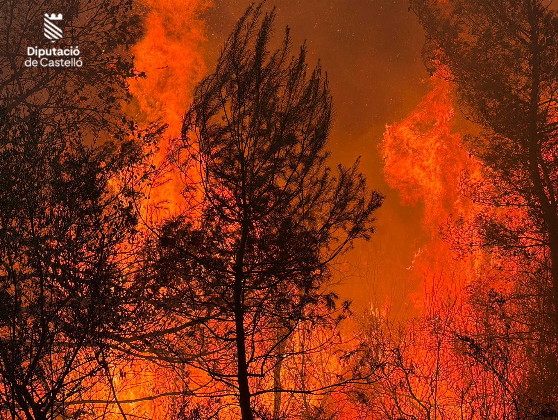 Imatge del foc, anit, facilitada pels bombers de la Diputacio de Castelló.