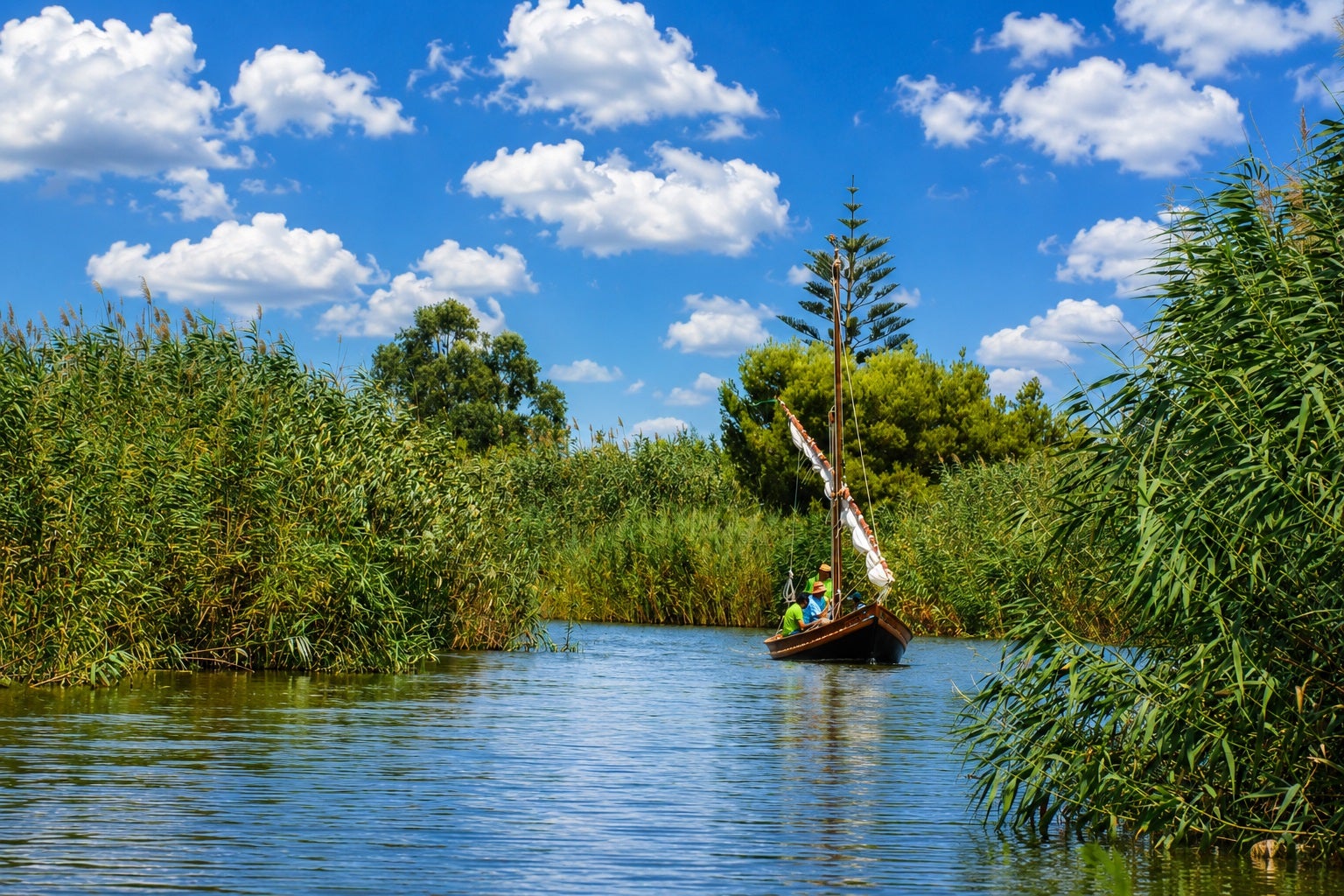 Albufera - JJPM