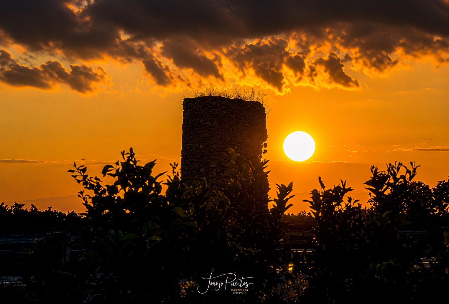 Torre - JJPM