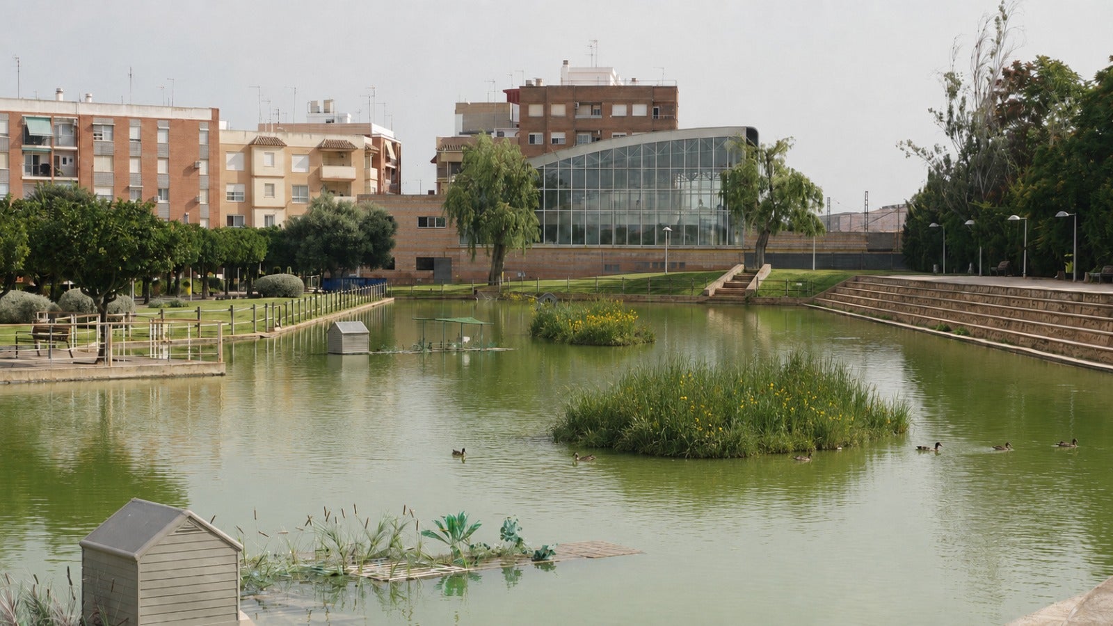 Llac del Parc de Barraques, a Catarroja.