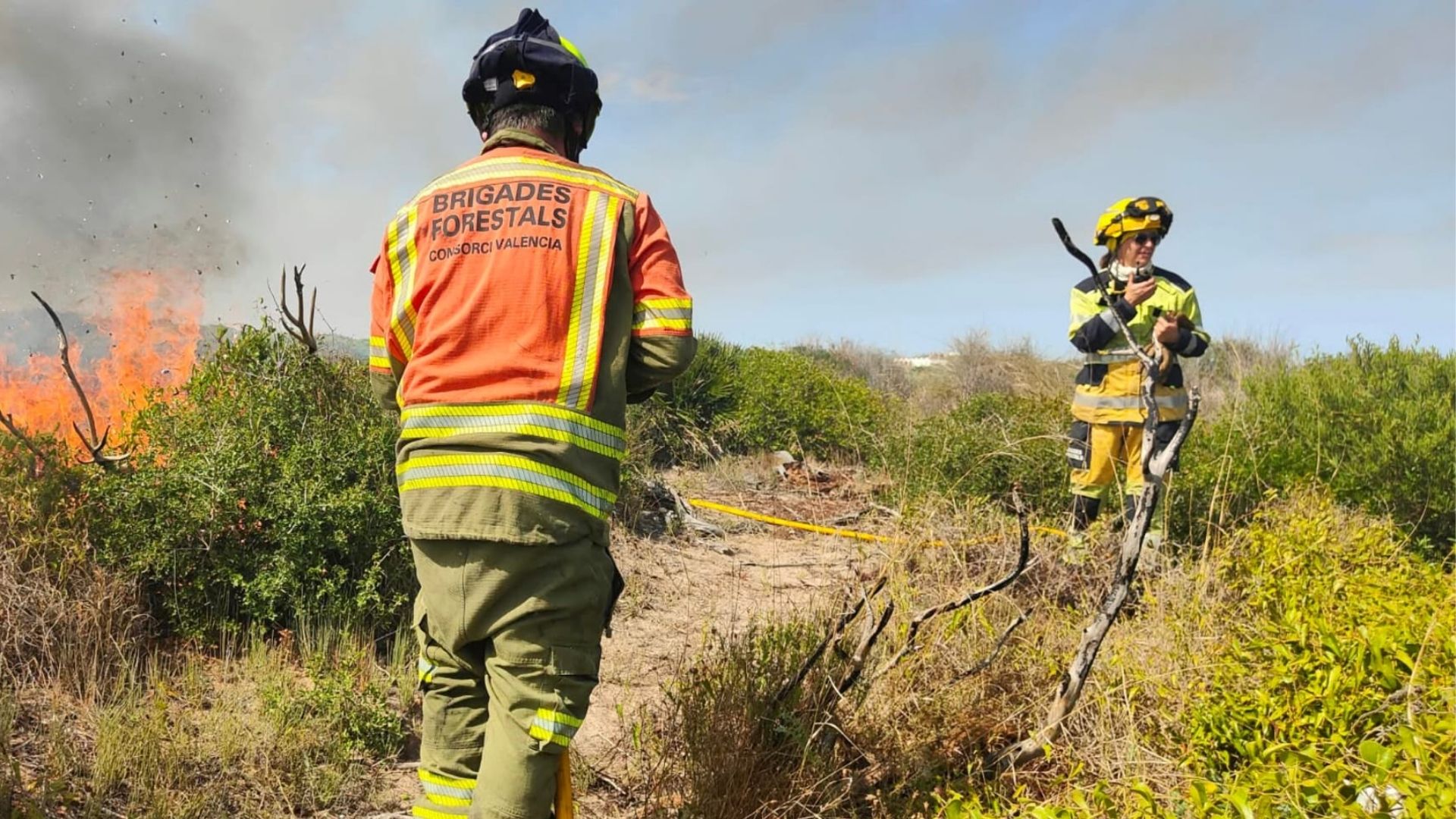 Bombers forestals en l'incendi del Saler | Bombers de la Diputació de València
