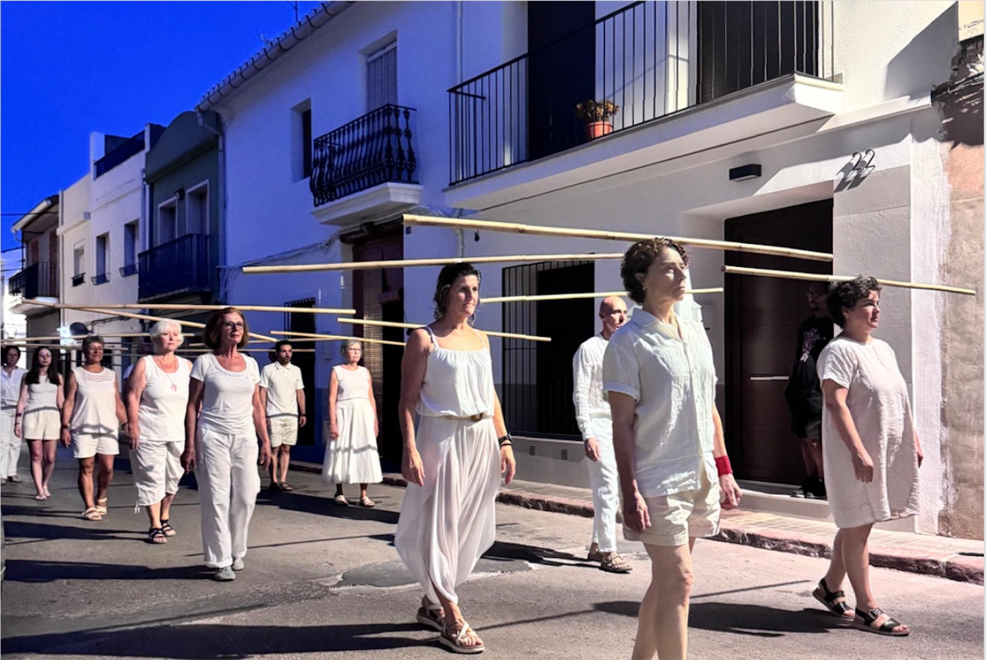 Habitar Mostra de Dansa de Faura