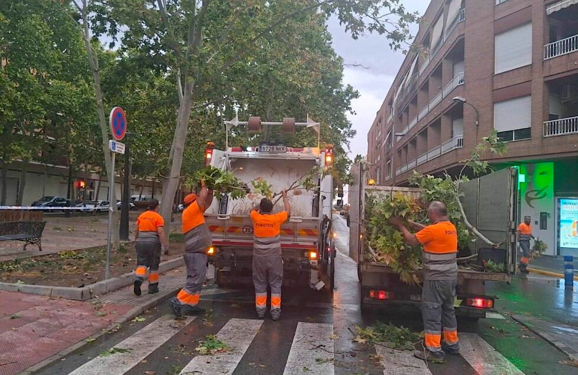 Treballs de neteja i recollida de branques a Villena després de l'esclafit humit | EP
