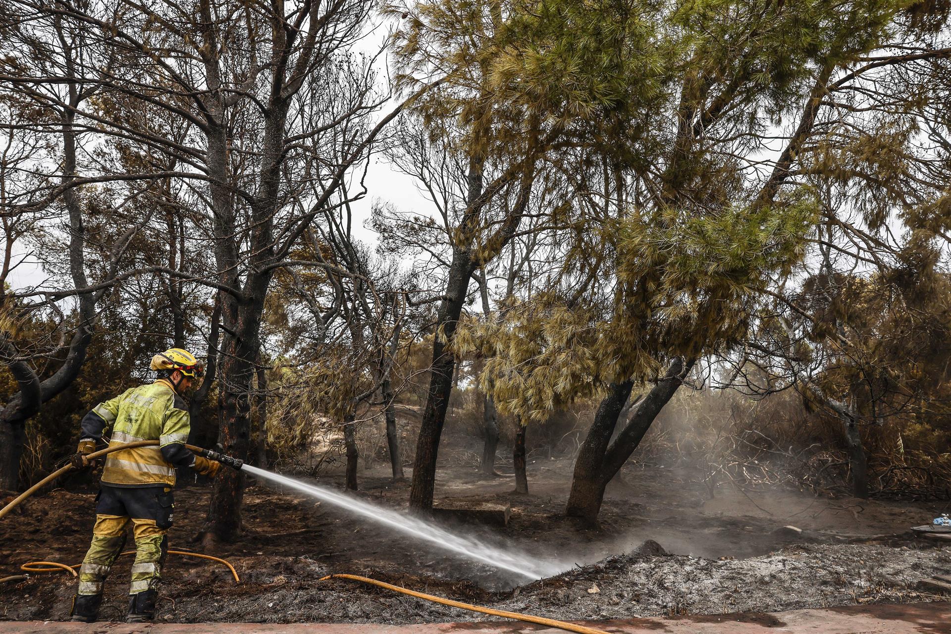 Bomber treballant en l'extinció de l'incendi del Saler | Rober Solsona | EP
