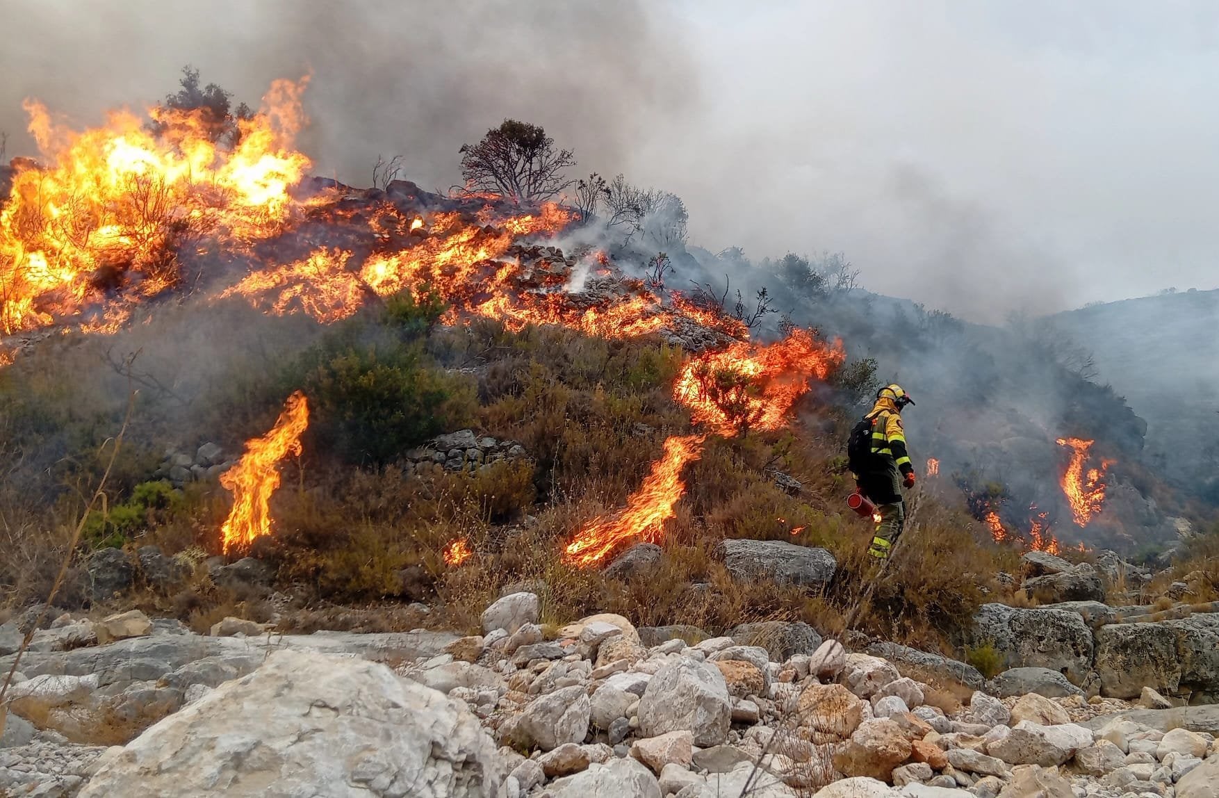 Incendi forestal a Tírig, el 9 d'agost del 2026 | ATBRIF