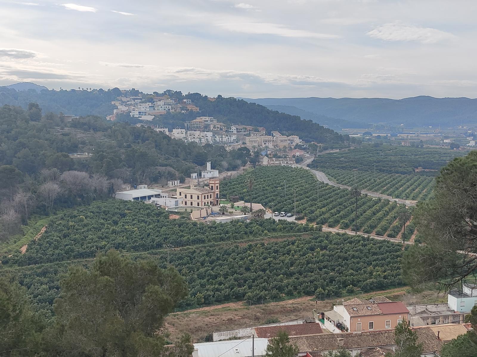 Vista d'Alzira des de la Muntanyeta del Salvador.