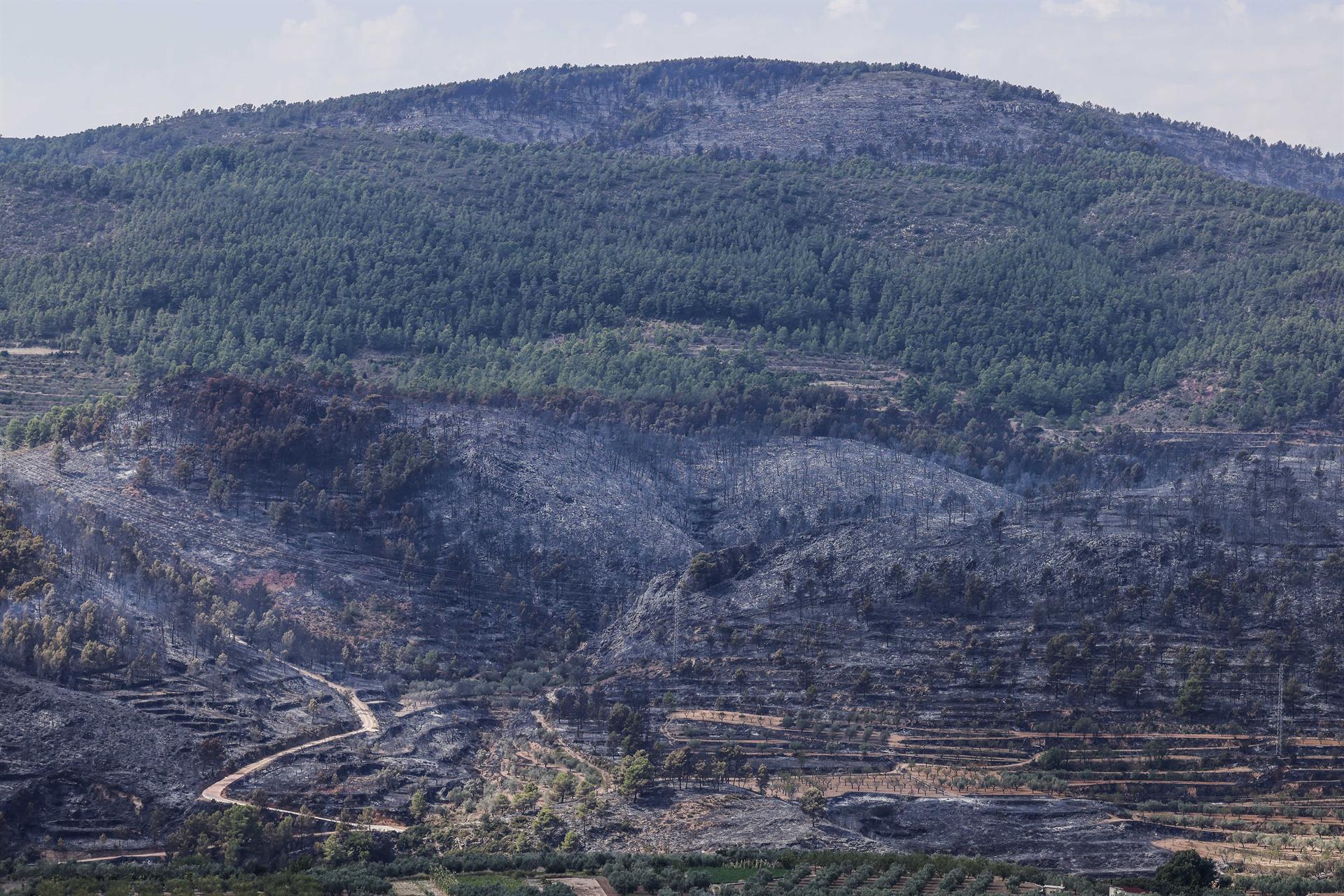 Terreny cremat per l'incendi forestal de Toixa (la Serrania), el 16 de setembre del 2026 | Rober Solsona | EP