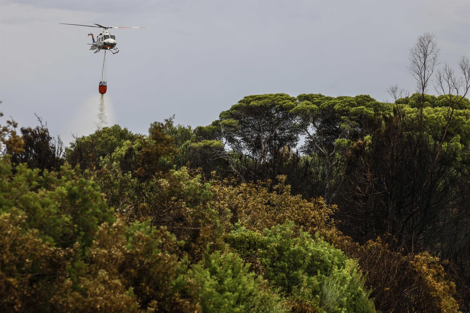 L'incendi forestal a la Devesa del Saler de l'agost del 2026 | Rober Solsona | EP