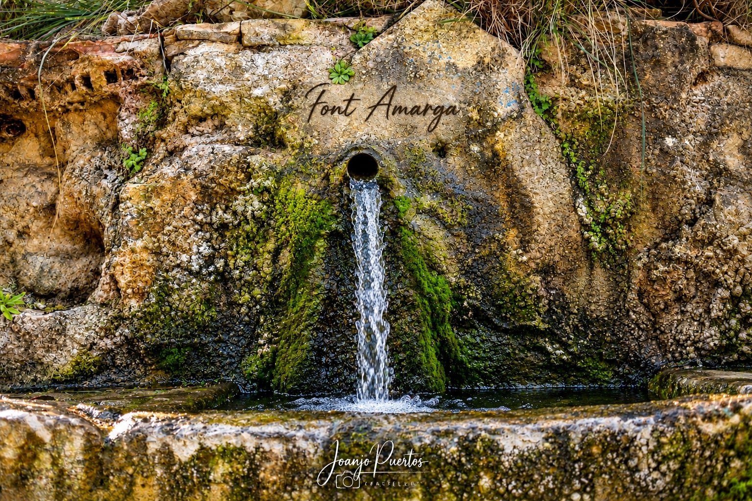 Font Amarga - Castelló (Ribera Alta) - JJPM