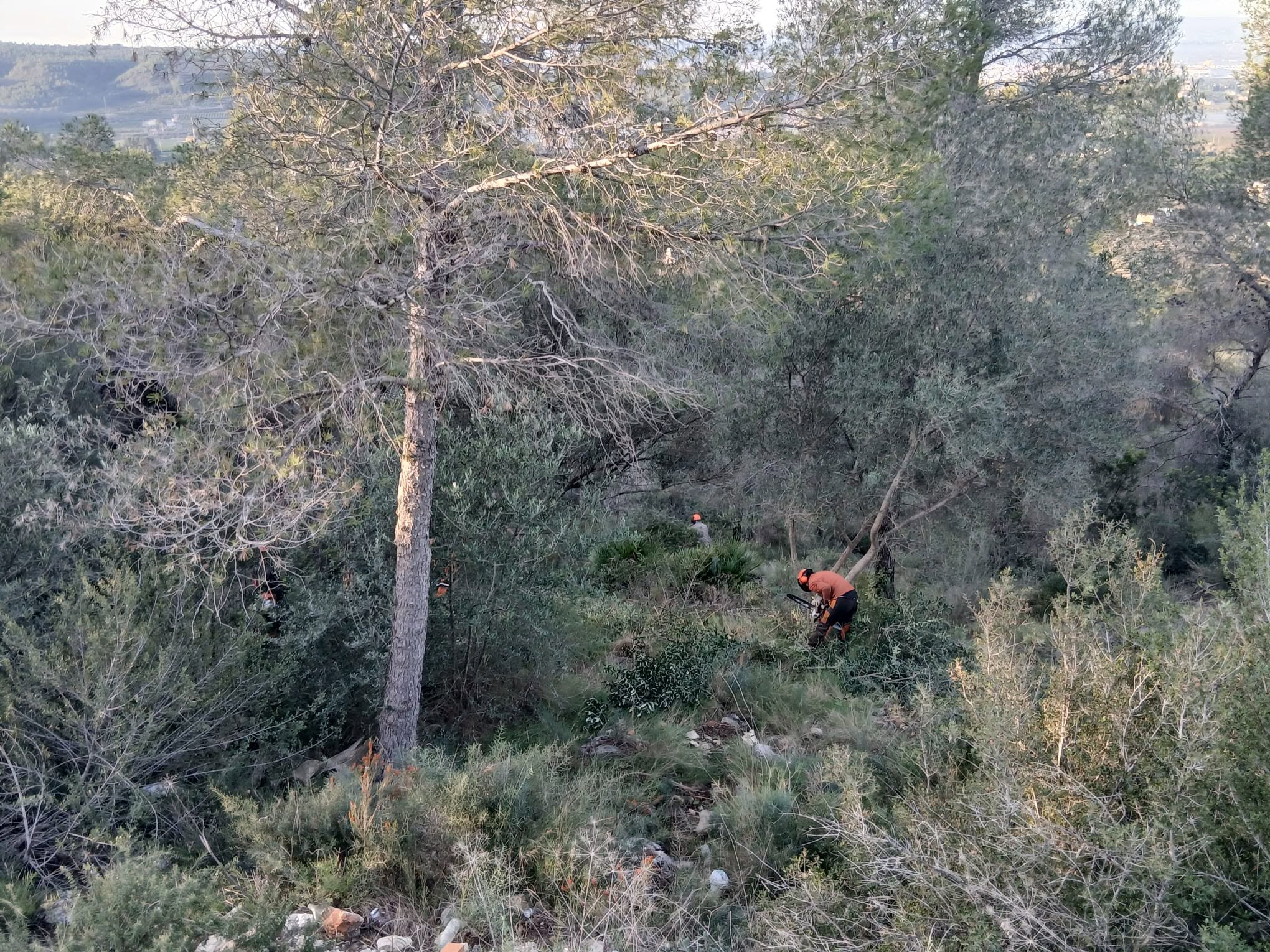 Tasques d'obertura i adequació de la faixa perimetral contra incendis a la urbanització del Respirall, el passat mes de febrer.