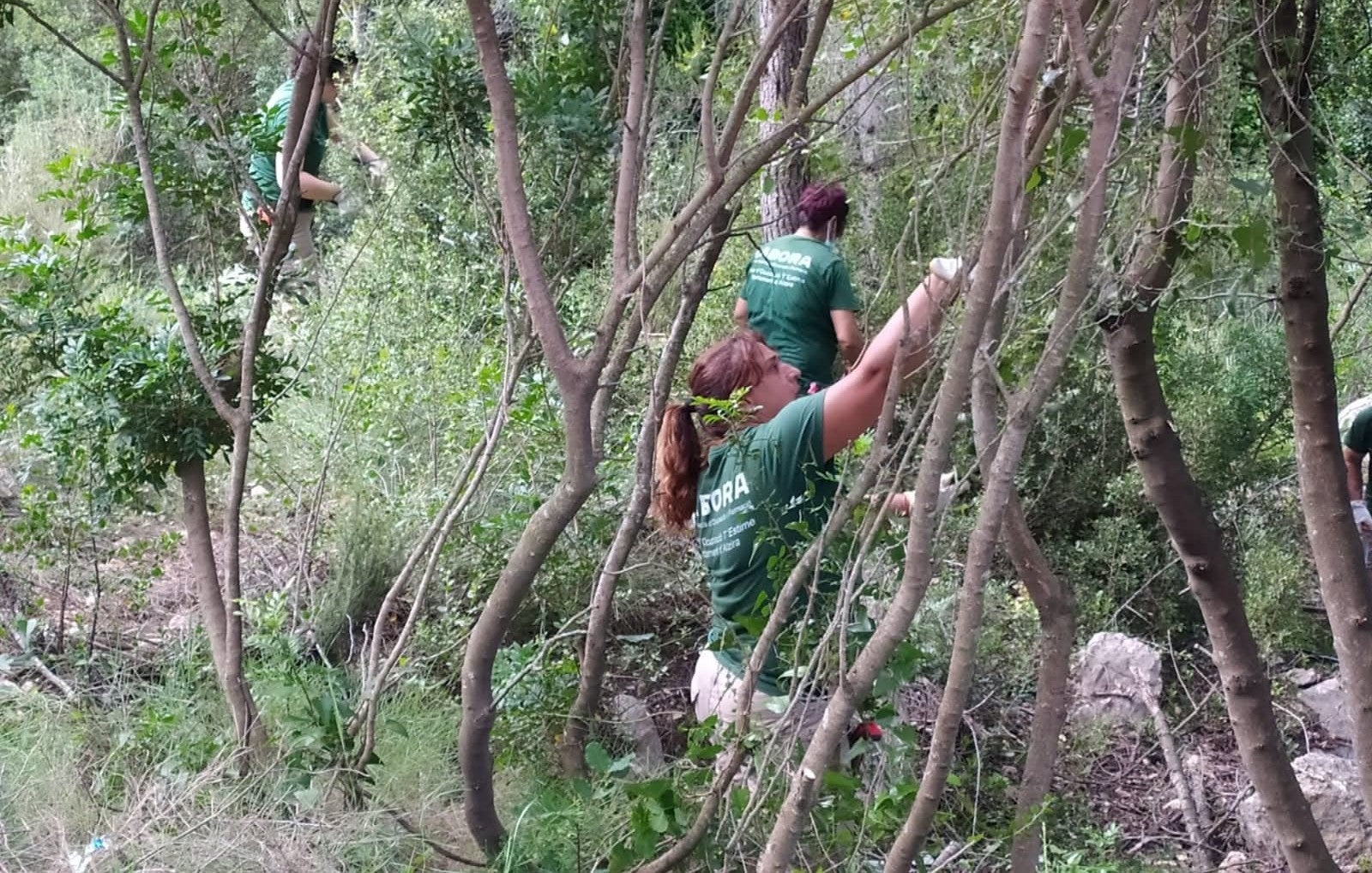 Imatge d'arxiu d'una activitat de prevenció al terme d'Alzira.