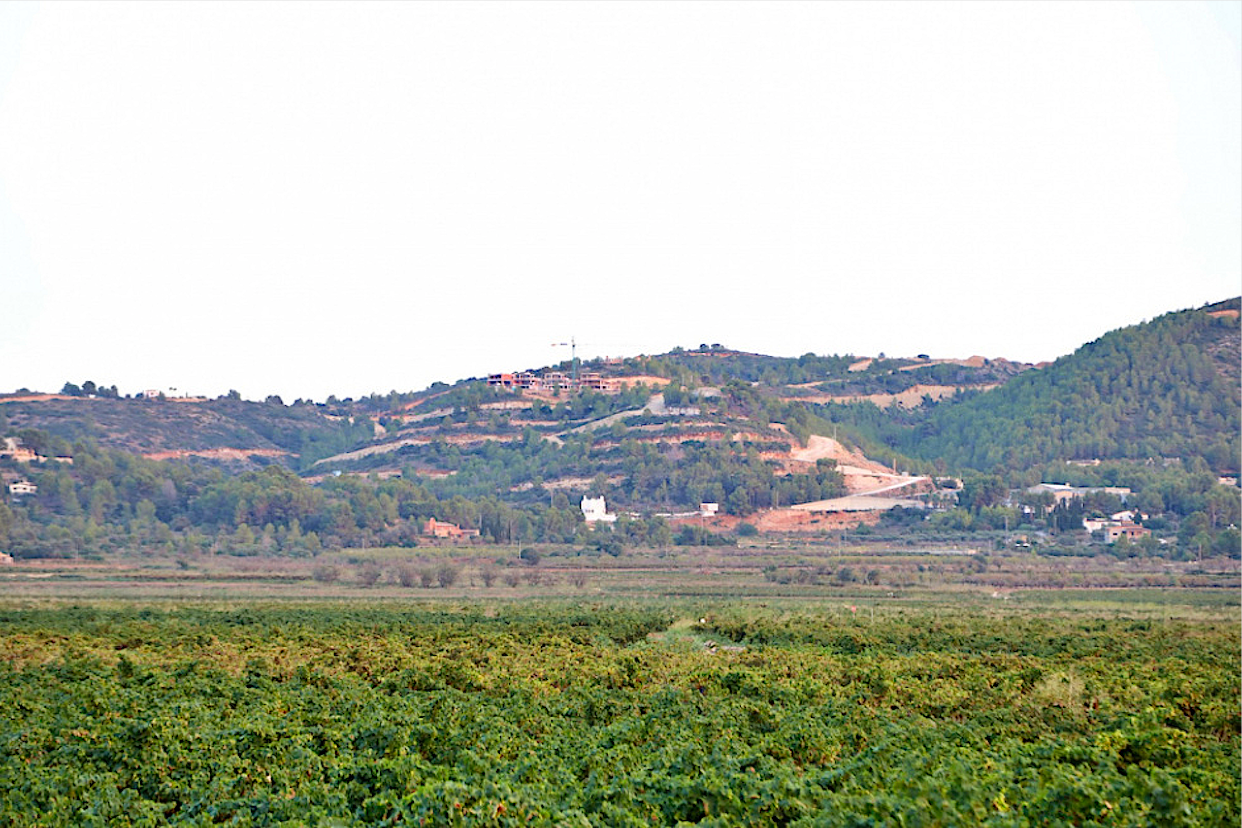 PAI Medina, a Llíber (la Marina Alta)