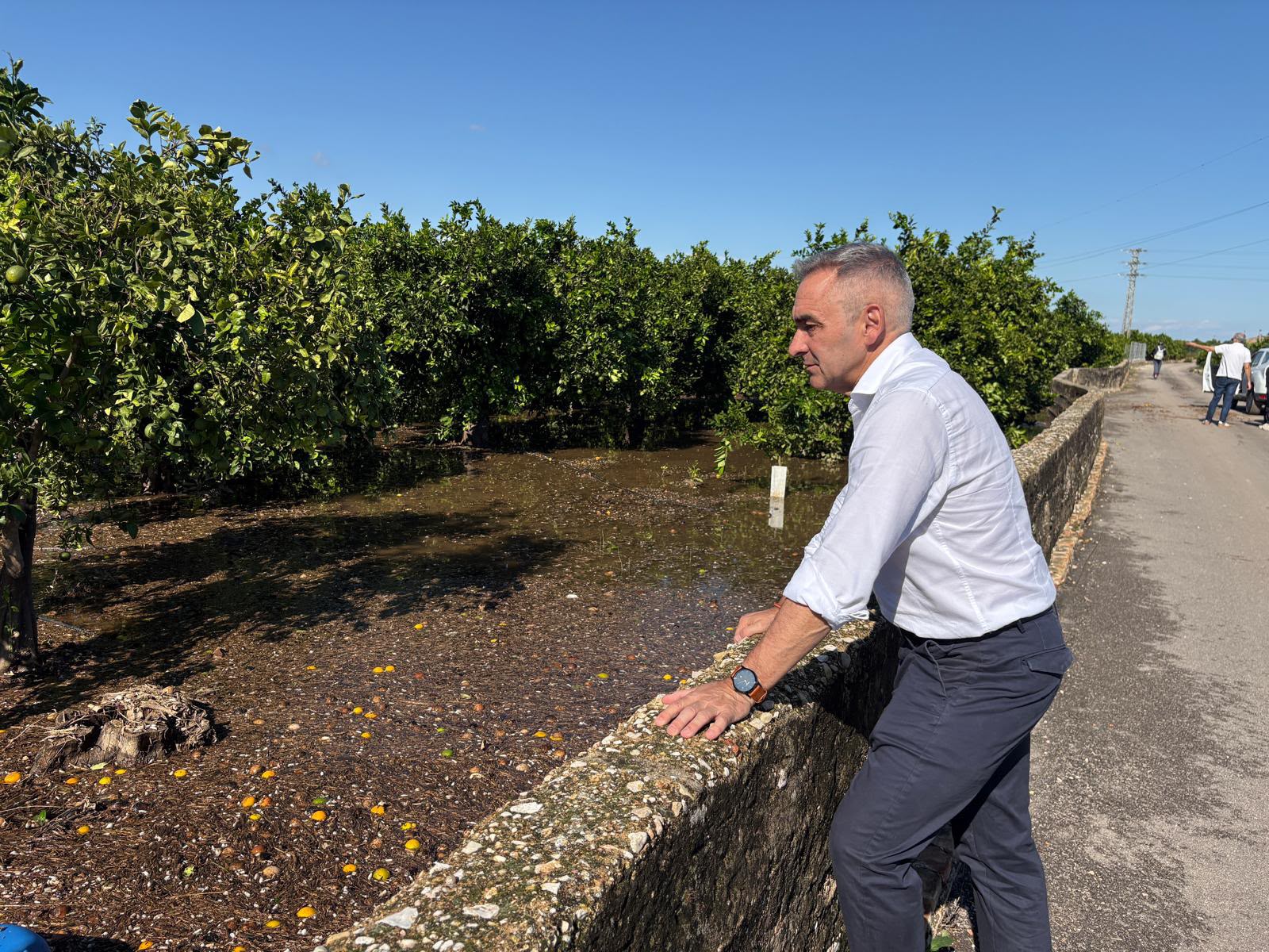 El conseller Barrachina observa un bancal de tarongers totalment inundat, hui en la comarca de la Safor.