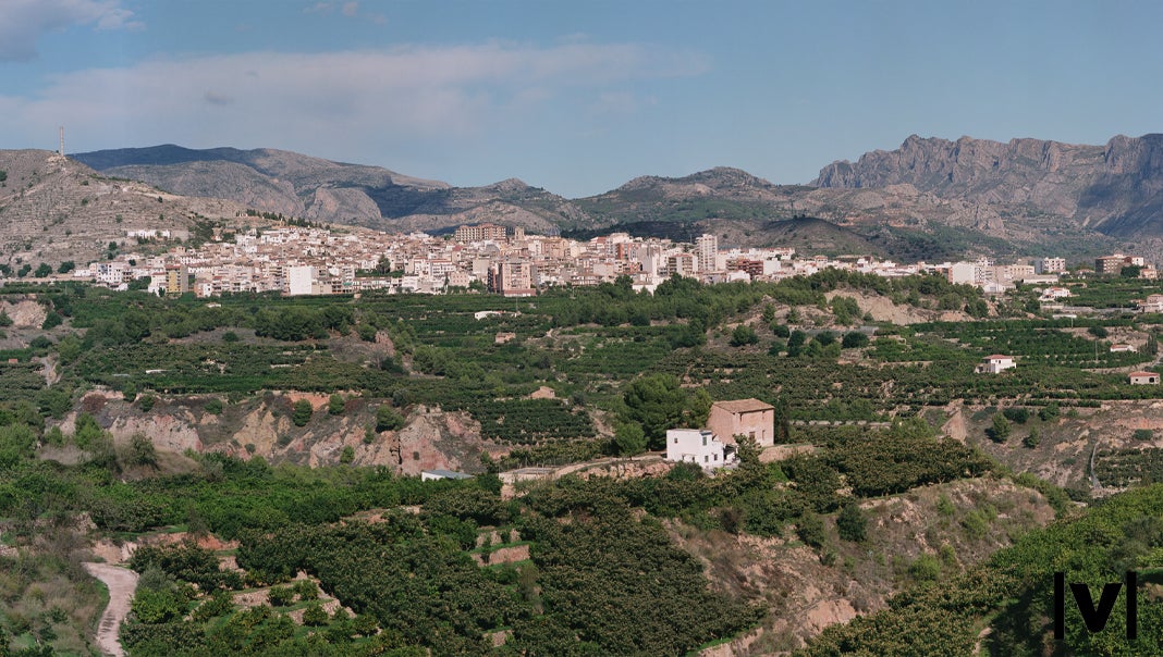 «Trobant-me en aquesta vall, / Callosa, per los morts fuit, / emprés he, no sens treball, / de dones scriure llur tall, / natural i voluntari.» Foto: