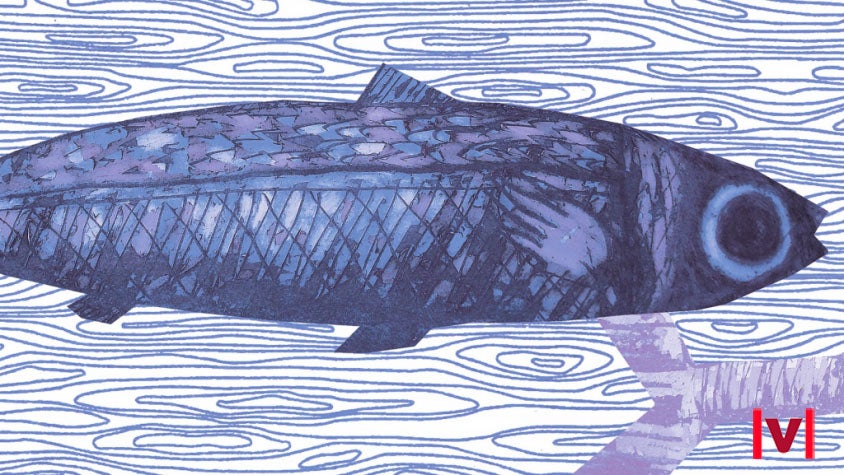 Il·lustració d'Israel Nicolás en cada un dels llibres de la col·lecció Aladroc