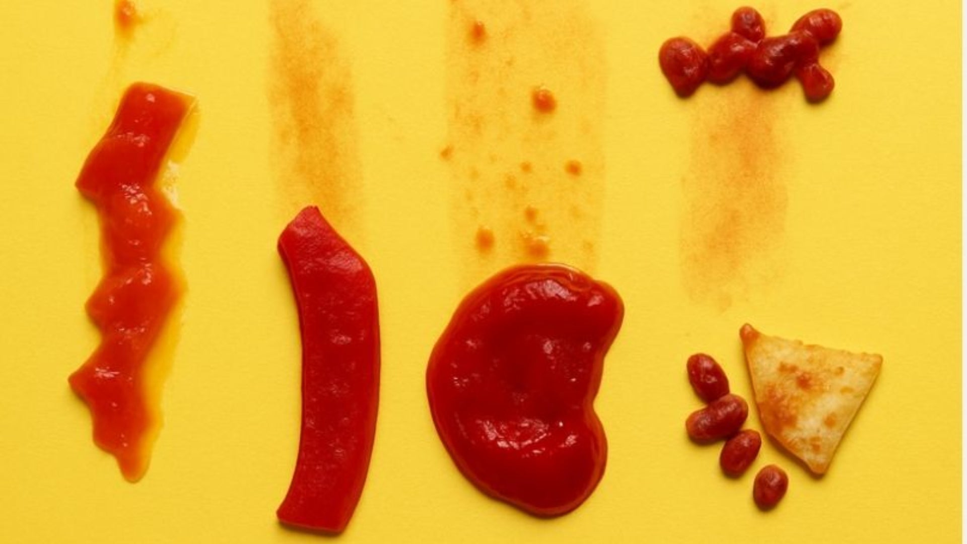 Les quatre barres fetes amb fruites de temporada | Editorial Biogràfics